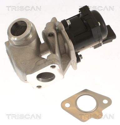 Triscan EGR-klep 8813 10018
