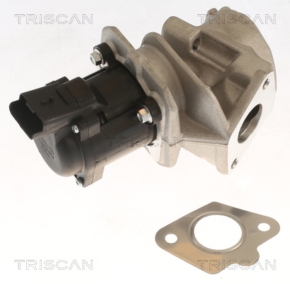 Triscan EGR-klep 8813 10018