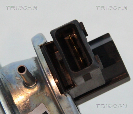 Triscan EGR-klep 8813 11002