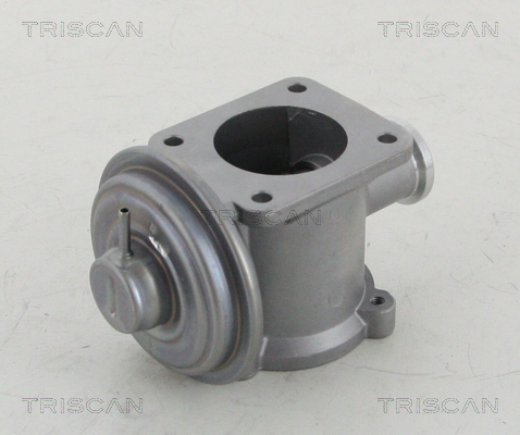 Triscan EGR-klep 8813 11003