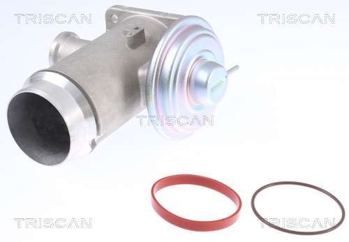 Triscan EGR-klep 8813 11102