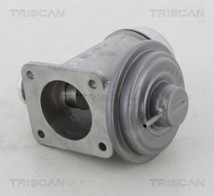 Triscan EGR-klep 8813 11102