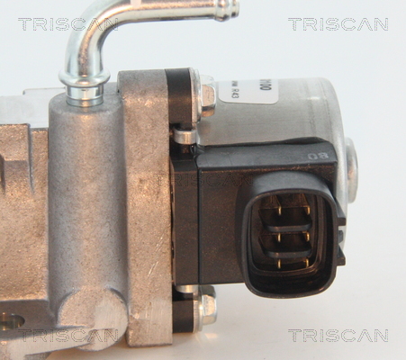 Triscan EGR-klep 8813 13002