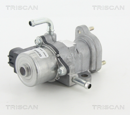 Triscan EGR-klep 8813 13002