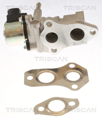 Triscan EGR-klep 8813 13015