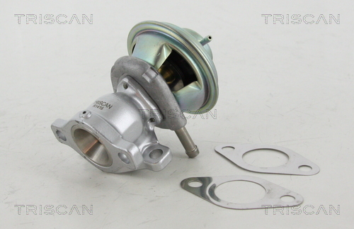 Triscan EGR-klep 8813 15029