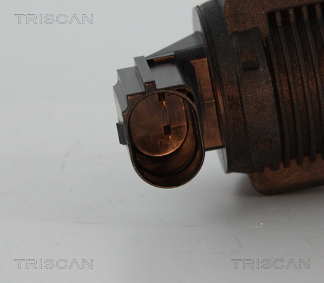 Triscan EGR-klep 8813 15032