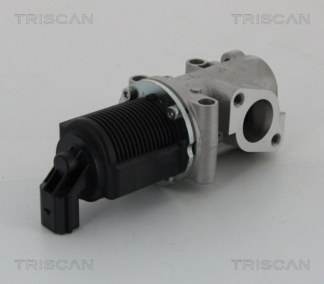 Triscan EGR-klep 8813 15032