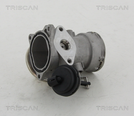 Triscan EGR-klep 8813 16023