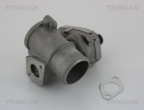 Triscan EGR-klep 8813 16101