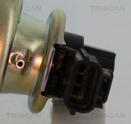 Triscan EGR-klep 8813 16102