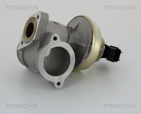 Triscan EGR-klep 8813 16102