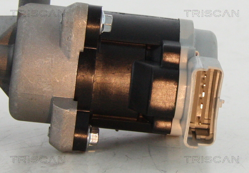 Triscan EGR-klep 8813 17008