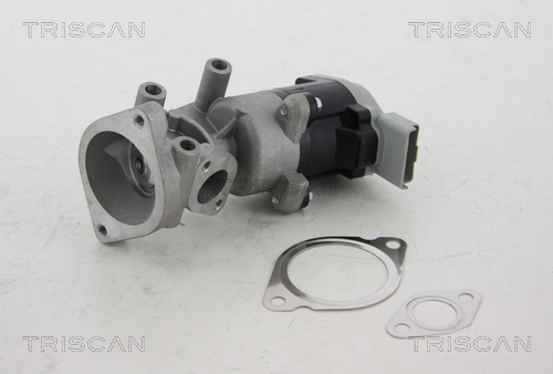 Triscan EGR-klep 8813 17008