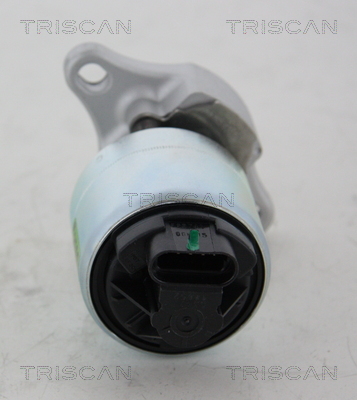 Triscan EGR-klep 8813 21001