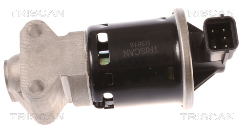 Triscan EGR-klep 8813 21100