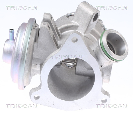 Triscan EGR-klep 8813 23032