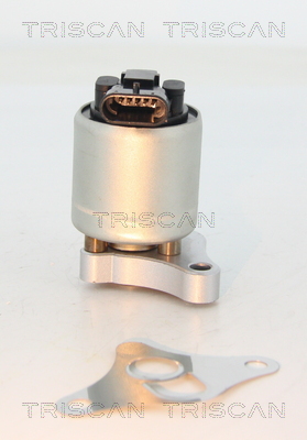 Triscan EGR-klep 8813 24002