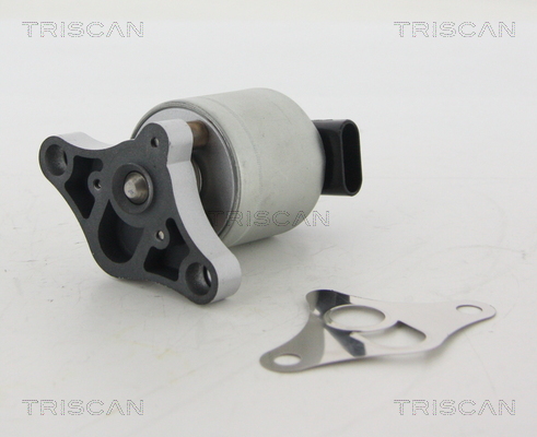 Triscan EGR-klep 8813 24002