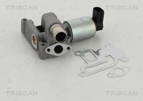 Triscan EGR-klep 8813 24003