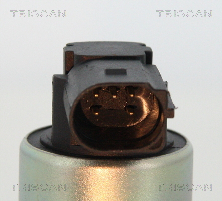 Triscan EGR-klep 8813 24003