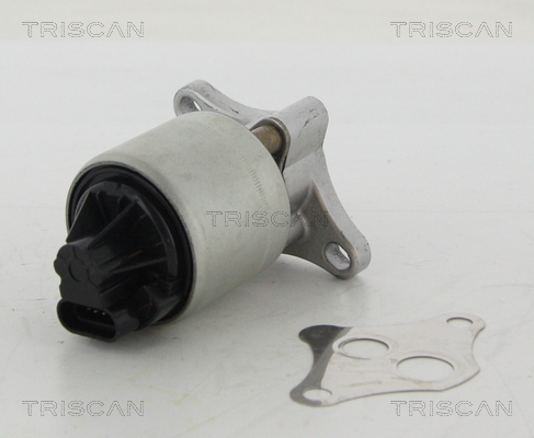 Triscan EGR-klep 8813 24004