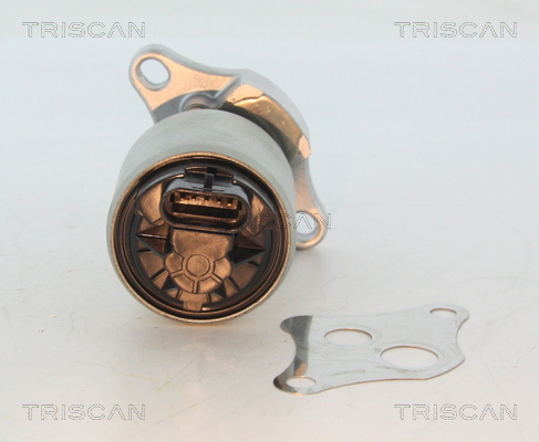 Triscan EGR-klep 8813 24004