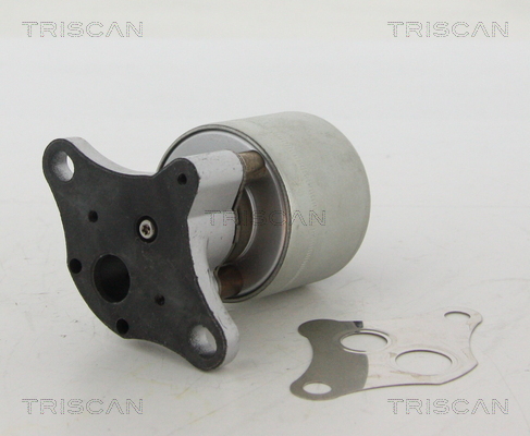 Triscan EGR-klep 8813 24004