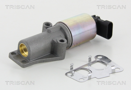 Triscan EGR-klep 8813 24010