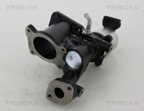 Triscan EGR-klep 8813 24022