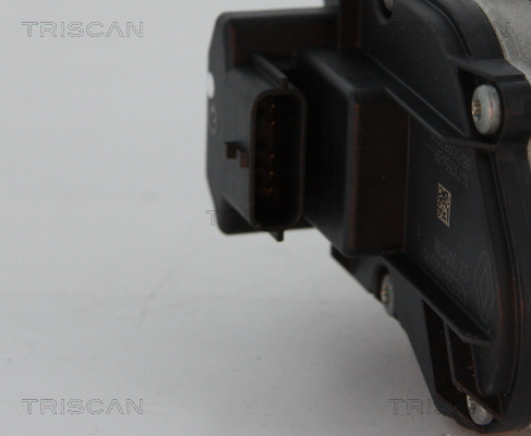 Triscan EGR-klep 8813 24039