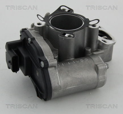 Triscan EGR-klep 8813 24039