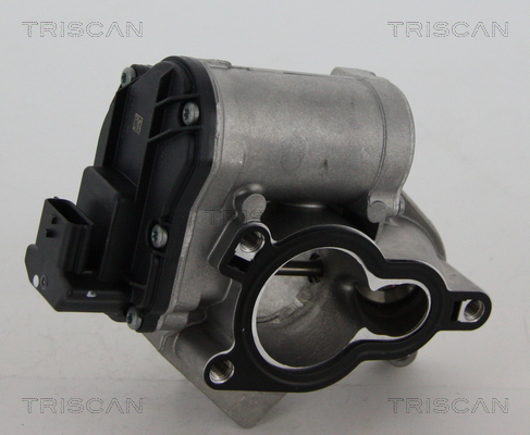 Triscan EGR-klep 8813 24039