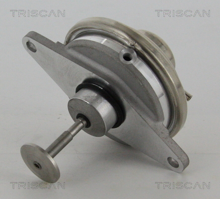 Triscan EGR-klep 8813 24054