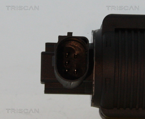 Triscan EGR-klep 8813 24055