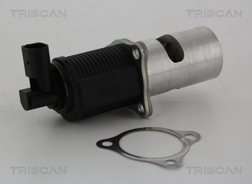 Triscan EGR-klep 8813 24055