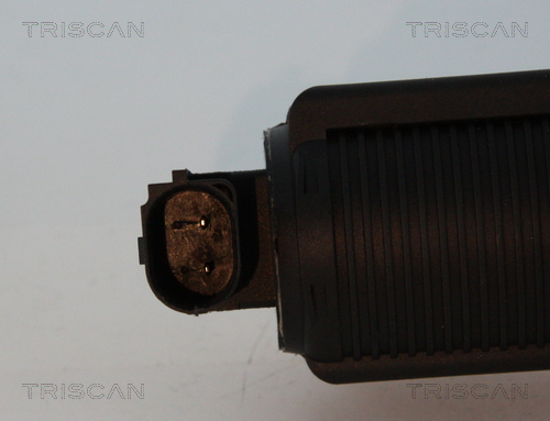 Triscan EGR-klep 8813 24082