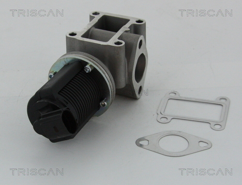 Triscan EGR-klep 8813 24082