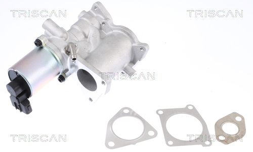 Triscan EGR-klep 8813 24101