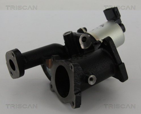 Triscan EGR-klep 8813 24101