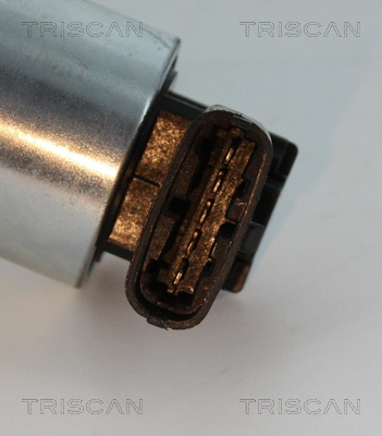 Triscan EGR-klep 8813 24102