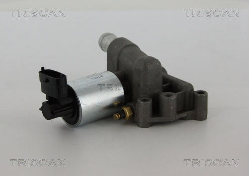 Triscan EGR-klep 8813 24102