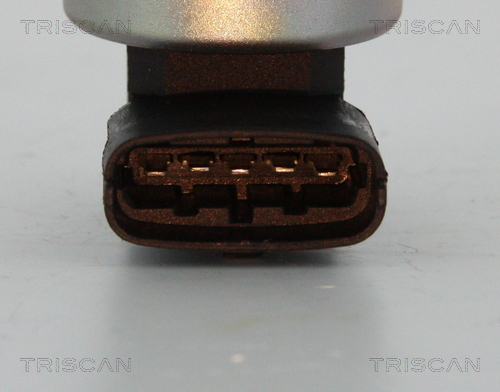 Triscan EGR-klep 8813 24200