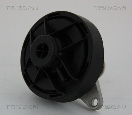 Triscan EGR-klep 8813 24202