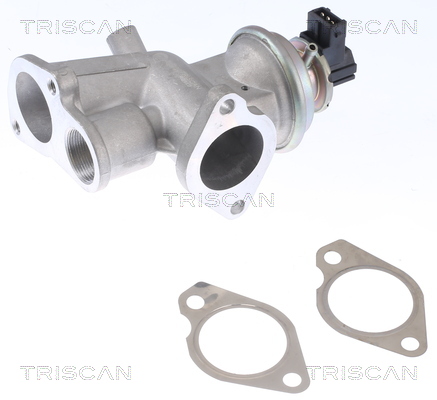 Triscan EGR-klep 8813 24203