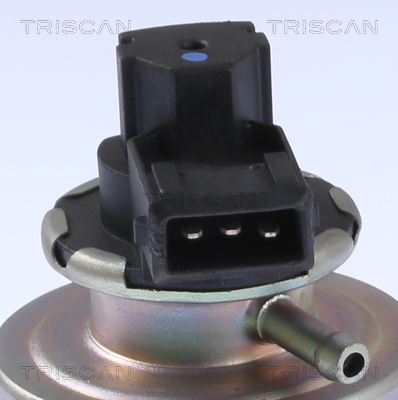 Triscan EGR-klep 8813 24203