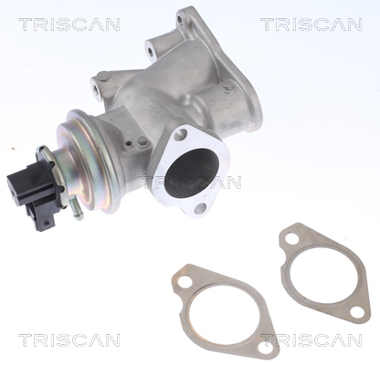 Triscan EGR-klep 8813 24203