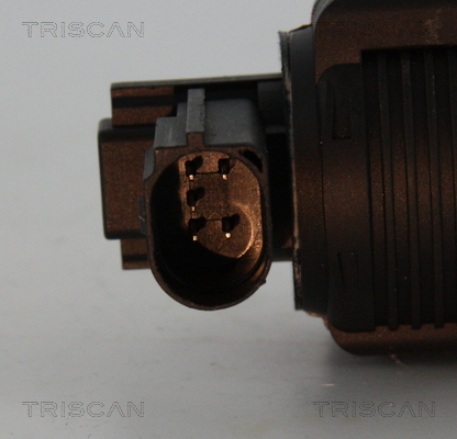 Triscan EGR-klep 8813 25038