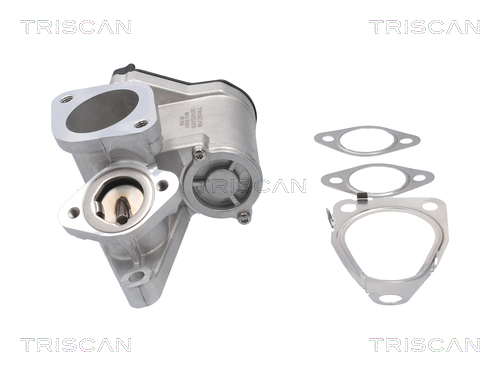 Triscan EGR-klep 8813 25201