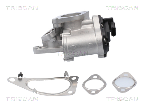 Triscan EGR-klep 8813 25201